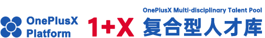 1+X 复合型人才库